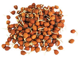 Brown Channa Sprouts, 200 g
